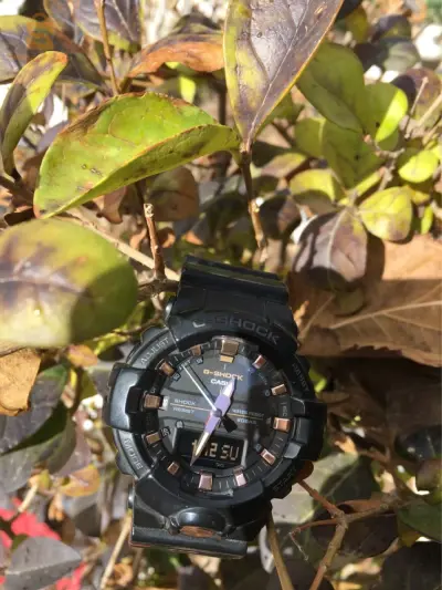 G Shock GA810 B