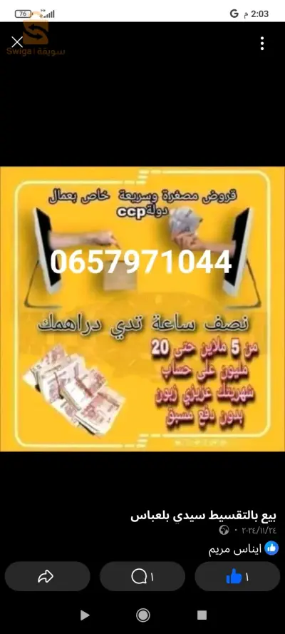 قرض مالي facility