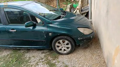 Peugeot 307 2002 43 MILA