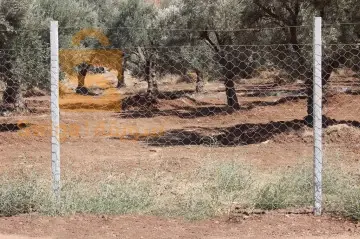 Poteaux agricoles et poteaux de cltures