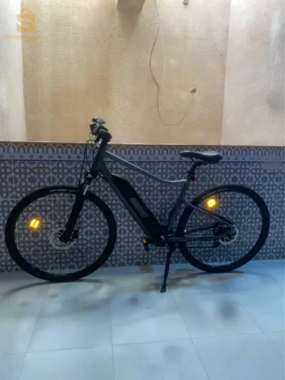 velo electric