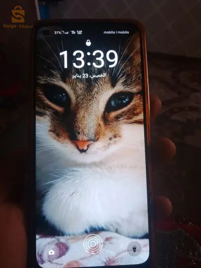 Oppo reno 7