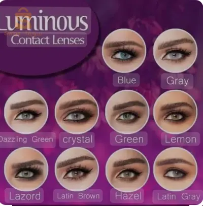 les lentilles