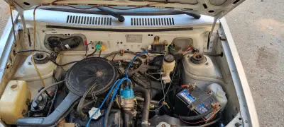 Suzuki Maruti 800 2010 9 BLIDA