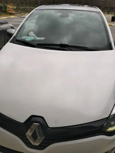 Renault Clio 1 2019 9 BLIDA