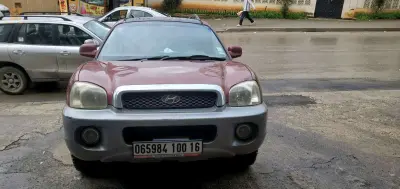 Hyundai Santa Fe 2000 16 ALGER