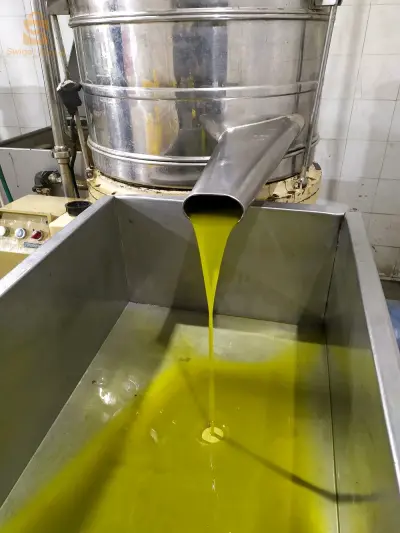 زيت الزيتون للبيع