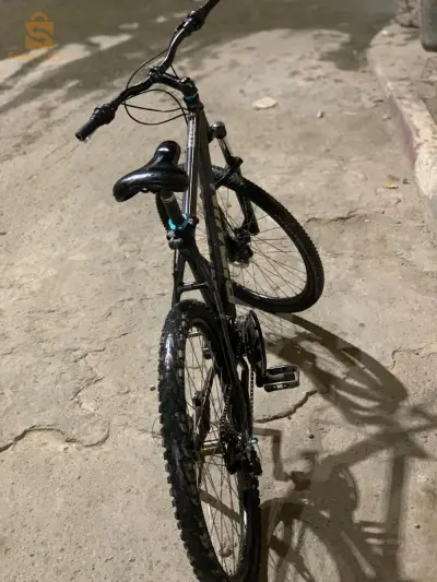 bywin500