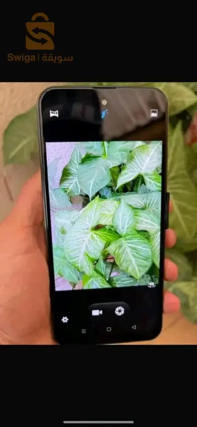 realme 12pro