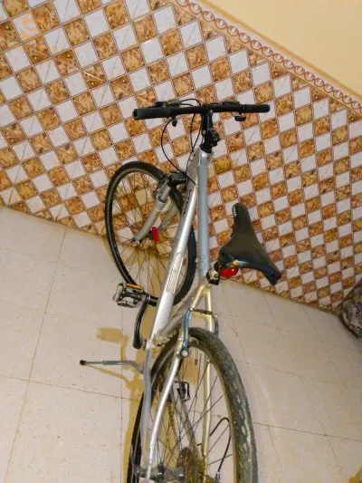 دراجة "VIVA"