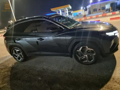 الوادي
