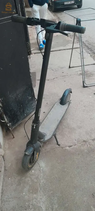 ninbout