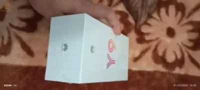 Hawaii y9
