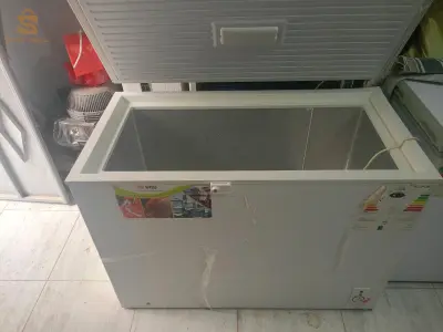 كونجيلاتور