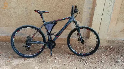 MOMA GTT 27.5