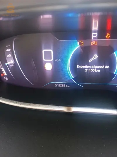 Peugeot 3008 2022 16 ALGER