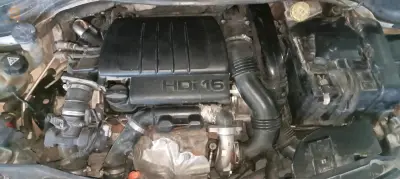 Peugeot 2013 4 OUM EL BOUAGHI