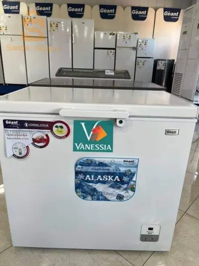 Congélateur marque géant 260L couleur blanc