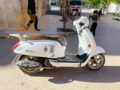 فيدال3
