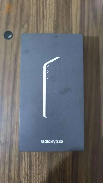Galaxy S25 Jamis utilisé