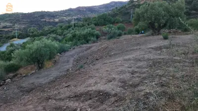 terrain à vendre
