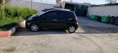 كيا Picanto 2011 39 الوادي