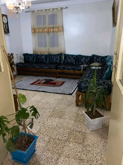 chari y3ayet 0699385844