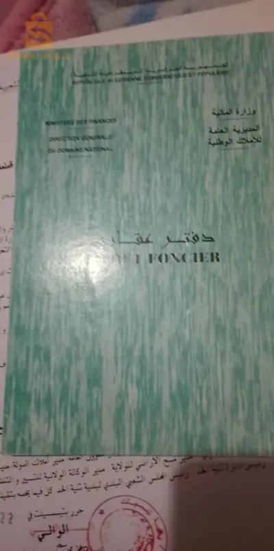 العربي هناوي