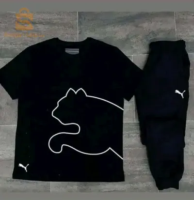 Ensemble puma