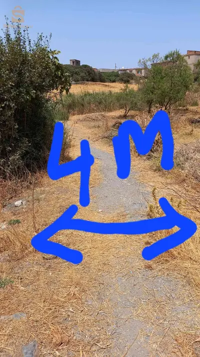 terrain