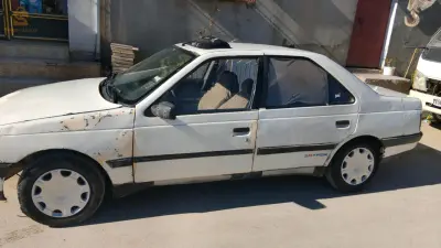 Peugeot 405 1990 19 SETIF