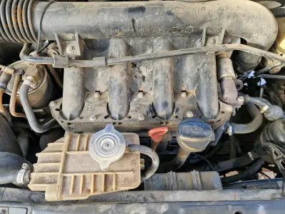 Mercedes 2000 44 AIN DEFLA