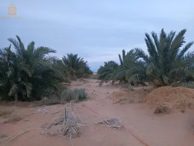 ارض فلاحية