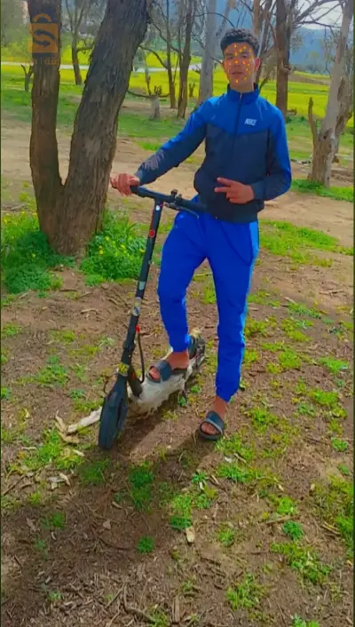 تلمسان