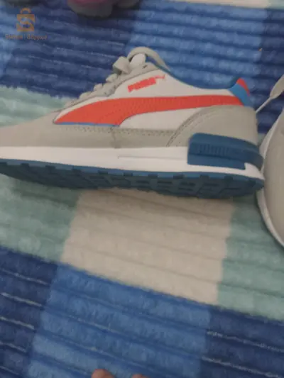 puma