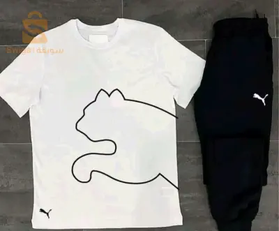 Ensemble puma