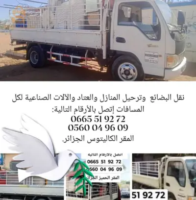 نقل وتوزيع البضائع والترحيل