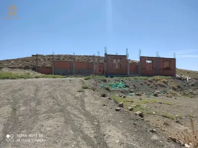 بيع