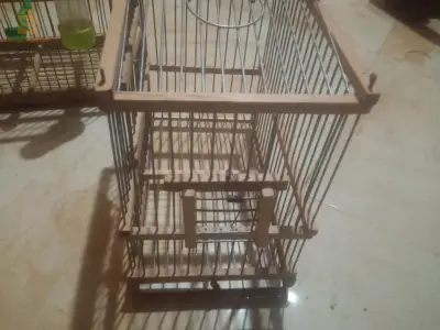 قفص