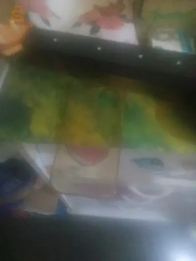 حافظة هاتف