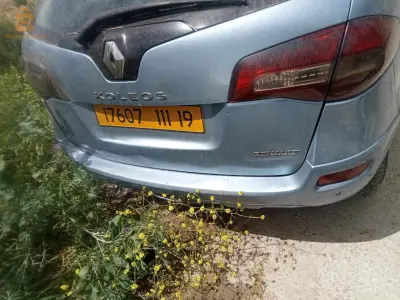 Renault Koleos 2011 16 ALGER