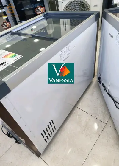 Congélateur marque géant vitré 358l