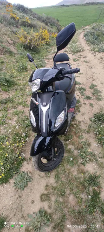 vms -jocci