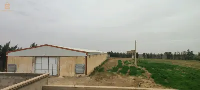 hangar (مستودع) + قطعة ارض زراعية 1 هكتار