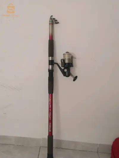 ميتشال طولها3m60cm