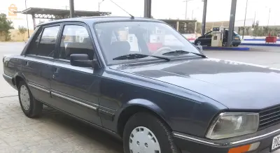 Peugeot 505 1991 20 SAIDA