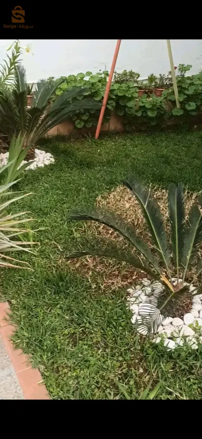 décoration espace vert et jardinage