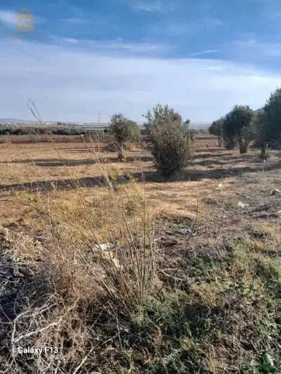 terrain agricole 7 are 50 centihar