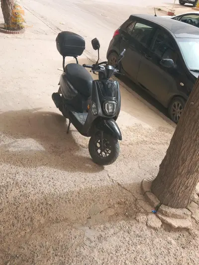 cuix estat
