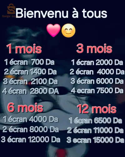 netflix abonnement